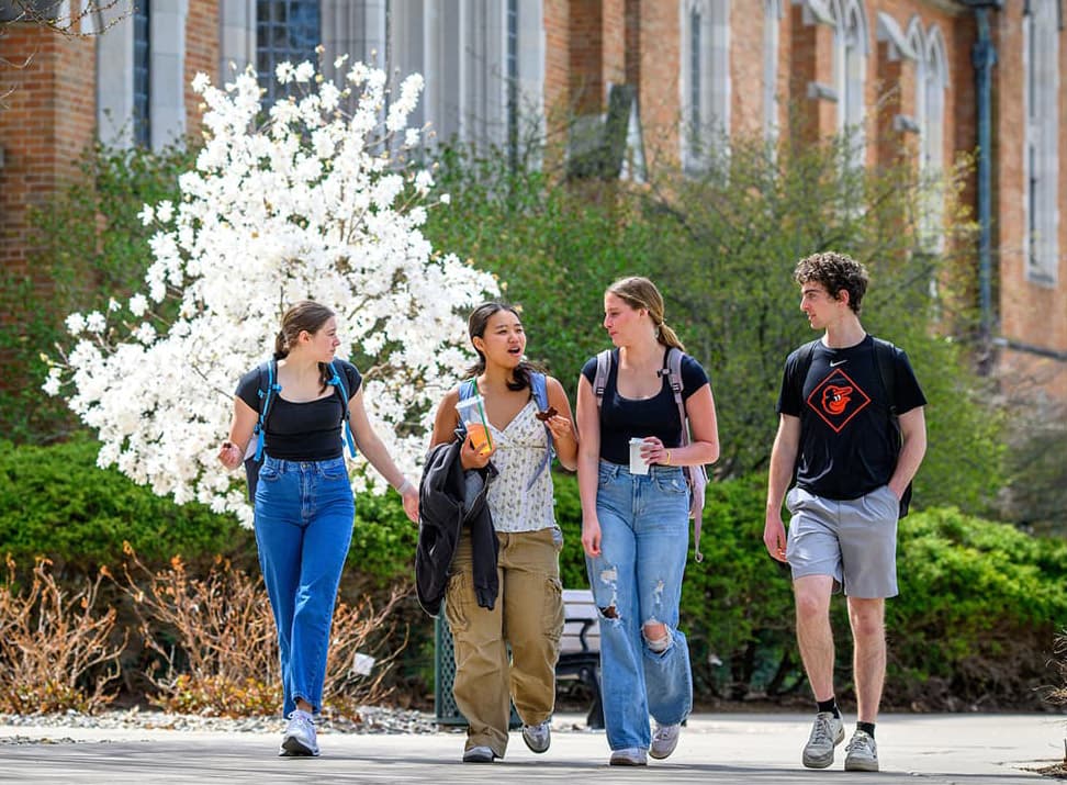 Four college students walk on a sunny path past a blooming white tree and a brick building, engaged in conversation.